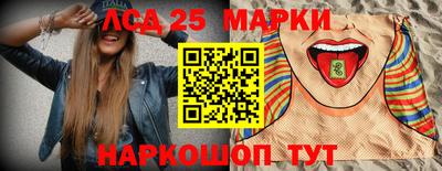 мдпв Камышлов