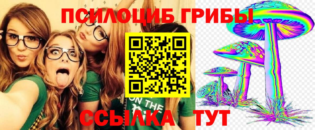Галлюциногенные грибы прущие грибы Кунгур