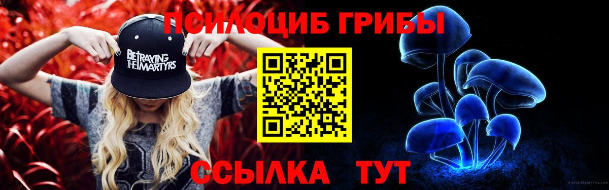 Псилоцибиновые грибы прущие грибы  Вход с VPN  Кунгур 